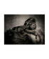 Фото #1 товара Antje Wenner Braun A Child was Born Canvas Art - 20" x 25"