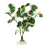 ფოტო #1 პროდუქტის FERPLAST F69090000 5.5x2.5x20 cm Aquarium Silk Plant