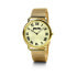 Ladies' Watch Folli Follie wf16g014bp (Ø 38 mm)