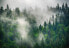 Фото #1 товара Vlies Fototapete Wald im Nebel Berge