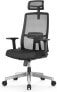 Duwinson Ergonomic Desk Chair with Adjustable Armrest, Mesh Office Chair, Rocker Function, Adjustable Headrest, Lumbar Support, Height Adjustable (Black-PI)