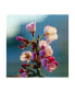 Фото #1 товара Mitch Catanzaro Cherry Blossom Blurred Canvas Art - 36.5" x 48"