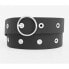 Фото #3 товара LEVIS ACCESSORIES Grommet Belt