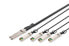 Фото #1 товара DIGITUS 40G QSFP+ to 4XSFP+ Direct Attach Cable 3m