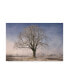 Фото #1 товара Philippe Sainte-Laudy The Tree Fairy Tale Canvas Art - 20" x 25"