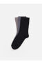 Basic Erkek Çocuk Soket Çorap 3'lü