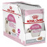 Фото #1 товара ROYAL Kitten Pate Box 85g Cat Snack 12 Units