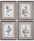 Фото #1 товара Casual Gray Study Wall Art I, II, III, IV, Set of 4