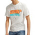 Фото #1 товара Puma Graffiti Tee M 622513 02