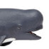 SAFARI LTD Pilot Whale Figure