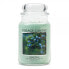 Фото #1 товара Scented candle in glass Juniper Berry 602 g