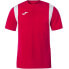 Фото #5 товара Joma Dinamo T-shirt 100446.600