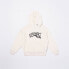 Фото #1 товара VOLCOM Tookool hoodie