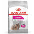 Фото #1 товара ROYAL CANIN Mini Exigent Vegetable Adult 1kg Dog Food