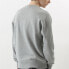 Фото #4 товара Худи Champion C3-L023 Ash Grey Trendy_Clothing / Featured_Tops (Мужская)