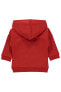 Erkek Bebek Kapüşonlu Sweatshirt 6-18 Ay Kırmızı