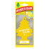 Фото #1 товара Ароматизатор автомобильный Wunder-Baum Запах елочки арктическая лимон 23-010