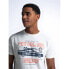 ფოტო #7 პროდუქტის PETROL INDUSTRIES M-1040-TSR604 short sleeve T-shirt