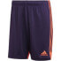 Фото #1 товара Adidas Tastigo 19 Shorts M DP3252 shorts