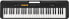 Фото #1 товара Синтезатор CASIO CT-S100 61 клавиш с автоматическим сопровождением