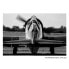 Фото #1 товара Полотно Самолет 120 x 4 x 80 cm