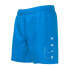 Фото #2 товара NIKE SWIM Nessc781 4 Volley Swimming Shorts