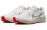 Nike Air Zoom Pegasus 40 DV3853-100 Running Shoes