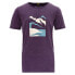 DEVOLD OF NORWAY Molnes Merino short sleeve T-shirt