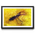 Фото #1 товара Gerahmtes Bild Stag Beetle