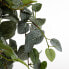 Фото #4 товара Künstliche Hängepflanze Pilea