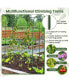 Фото #9 товара Self-watering Raised Garden Bed Elevated Planter with Climbing Trellis-Black