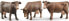 Фото #1 товара Фигурка Bruder Фигурка коровы коричневого цвета в трех позах Cow Figurine (Фигурка коровы)