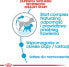 Фото #5 товара Royal Canin SHN Mini Starter M&B 1 kg