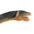 SAFARI LTD Elasmosaurus Figure