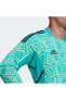 Фото #3 товара Футбольная форма Adidas Con22Gk Jsy L P для мужчин, модель HB1613, разноцветная