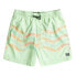 Фото #1 товара BILLABONG Vacay Lb Swimming Shorts