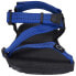 XERO SHOES Z-Trail EV Sandals