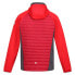 Фото #4 товара REGATTA Andreson VII Hybrid jacket