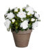 Фото #1 товара Искусственные цветы MICA Decorations Azalee 31 см, белый