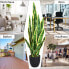 Фото #3 товара Kunstpflanze Sansevieria 90 cm