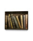 Фото #1 товара 36" x 24" Vintage Like Book Collection II Museum Mounted Canvas Print