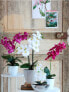 Фото #3 товара Искусственные цветы MICA Decorations Орхидея Phalaenopsis