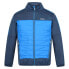 Фото #2 товара REGATTA Clumber II Hybrid jacket