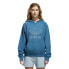 Фото #3 товара [CE4864] Womens Adidas Signature Hoodie