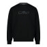 Фото #2 товара CMP 31D4327 sweatshirt