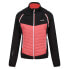 Фото #3 товара REGATTA Steren Hybrid softshell jacket