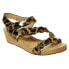 VANELi Kabie Wedge Womens Black, Brown Casual Sandals 307985