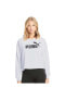 Фото #2 товара Ess Cropped Logo Hoodie Kadın Sweat - Kapson