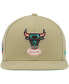 Фото #2 товара Men's Khaki Chicago Bulls 1996 NBA Finals Hardwood Classics Malibu Sunrise Fitted Hat