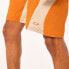 OAKLEY APPAREL Latitude Arc shorts